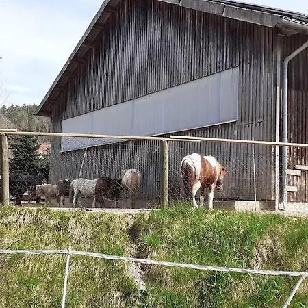 *wohlfuhlapartment In Der Ferienregion Cham * *